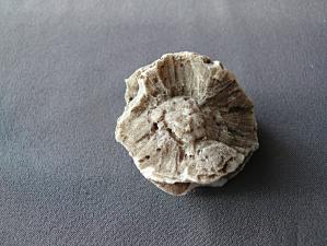 агат