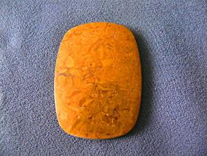 яшма мириам (ракушечник)