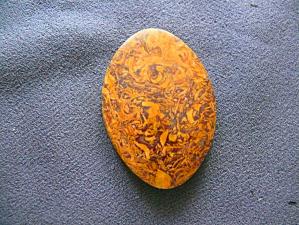 яшма мириам (ракушечник) 5х34х50