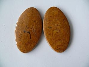 яшма мириам (ракушечник) пара 5х27х45