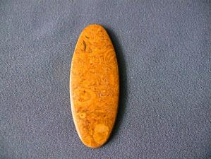 яшма мириам (ракушечник) 5х30х75