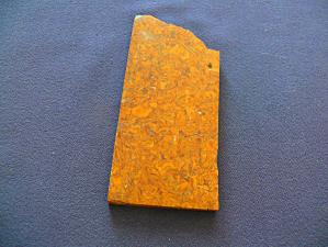 яшма мириам (ракушечник) 5х50х117