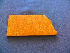 яшма мириам (ракушечник) 5х50х117