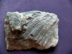 турмалин дравит в рубашке 40х82х117